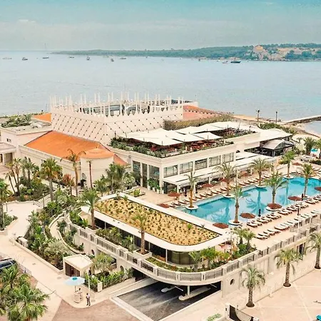 Palm Front De * Cannes