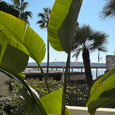 Palm Front De Apartment *