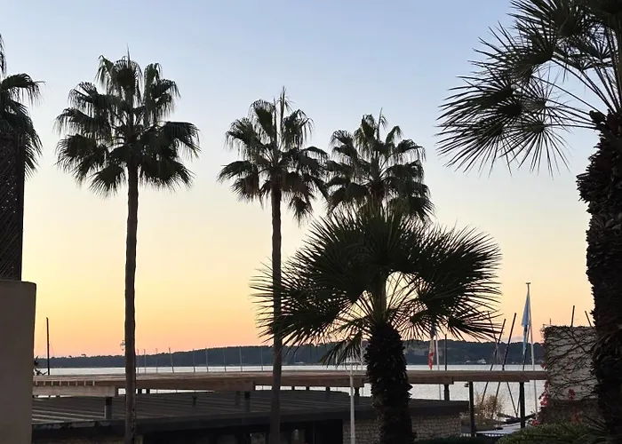 Lägenhet Palm Front De Cannes