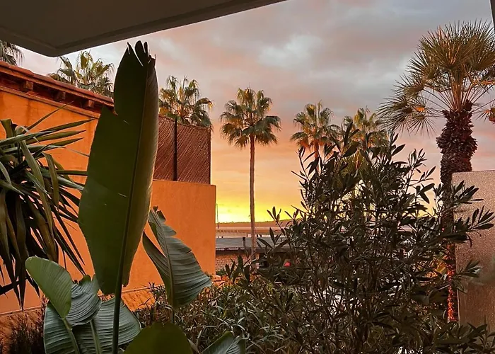 Palm Front De *