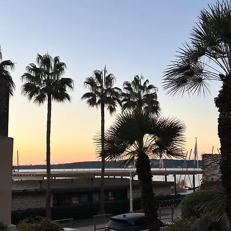 Appartement Palm Front De Cannes