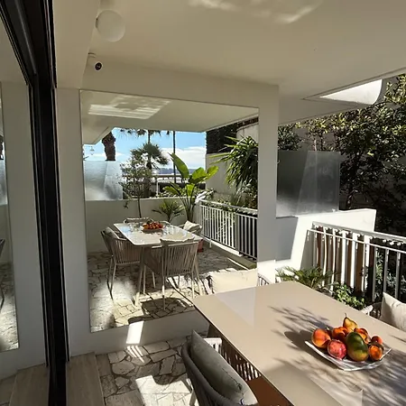 Palm Front De * Cannes