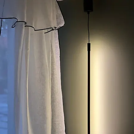 Palm Front De * קאן